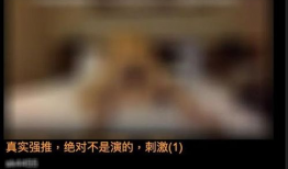 黄色视频在哪里看,揭秘网络暗流涌动的秘密世界